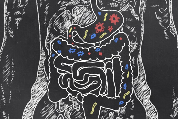 Image: What is your gut telling you?