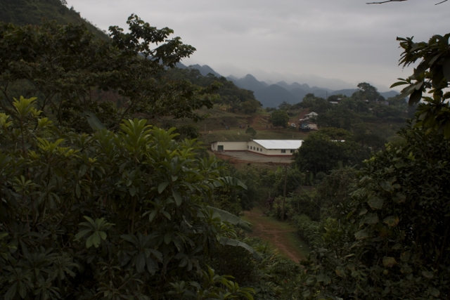 Image: Blast from the past